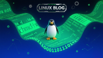 《网络通信的基石：套接字（Socket）核心知识点与实操要点》—-《Hello Linux!》(22)