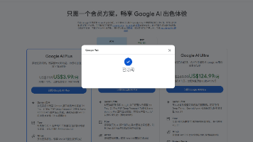 用国内visa卡订阅国外ai服务（如gpt，gemini）