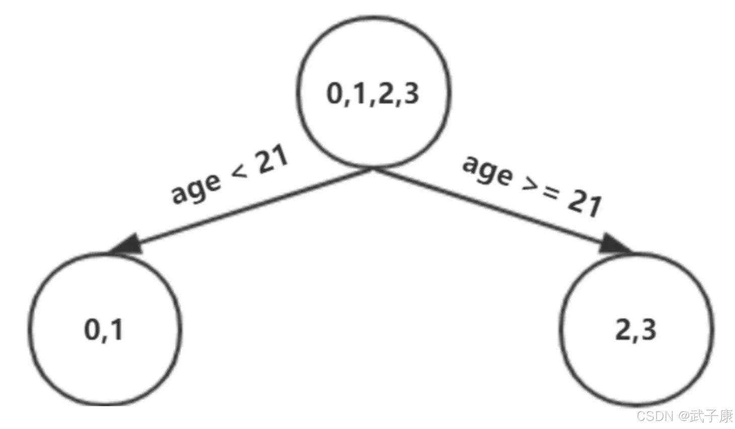 第一棵决策树结构：根节点按age<21分裂