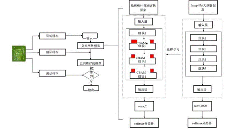 大数据深度学习|计算机毕设项目|计算机毕设答辩|Django-基于深度学习的猕猴桃叶病害识别分类系统-RestNet50