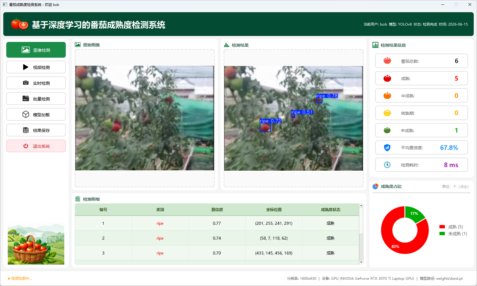 基于YOLOv8深度学习的番茄成熟度智能检测系统(数据集+UI界面+模型+训练代码)