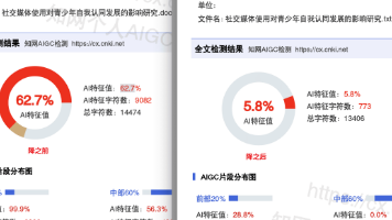 知网查一次AI率要花多少钱？怎么查才最划算？