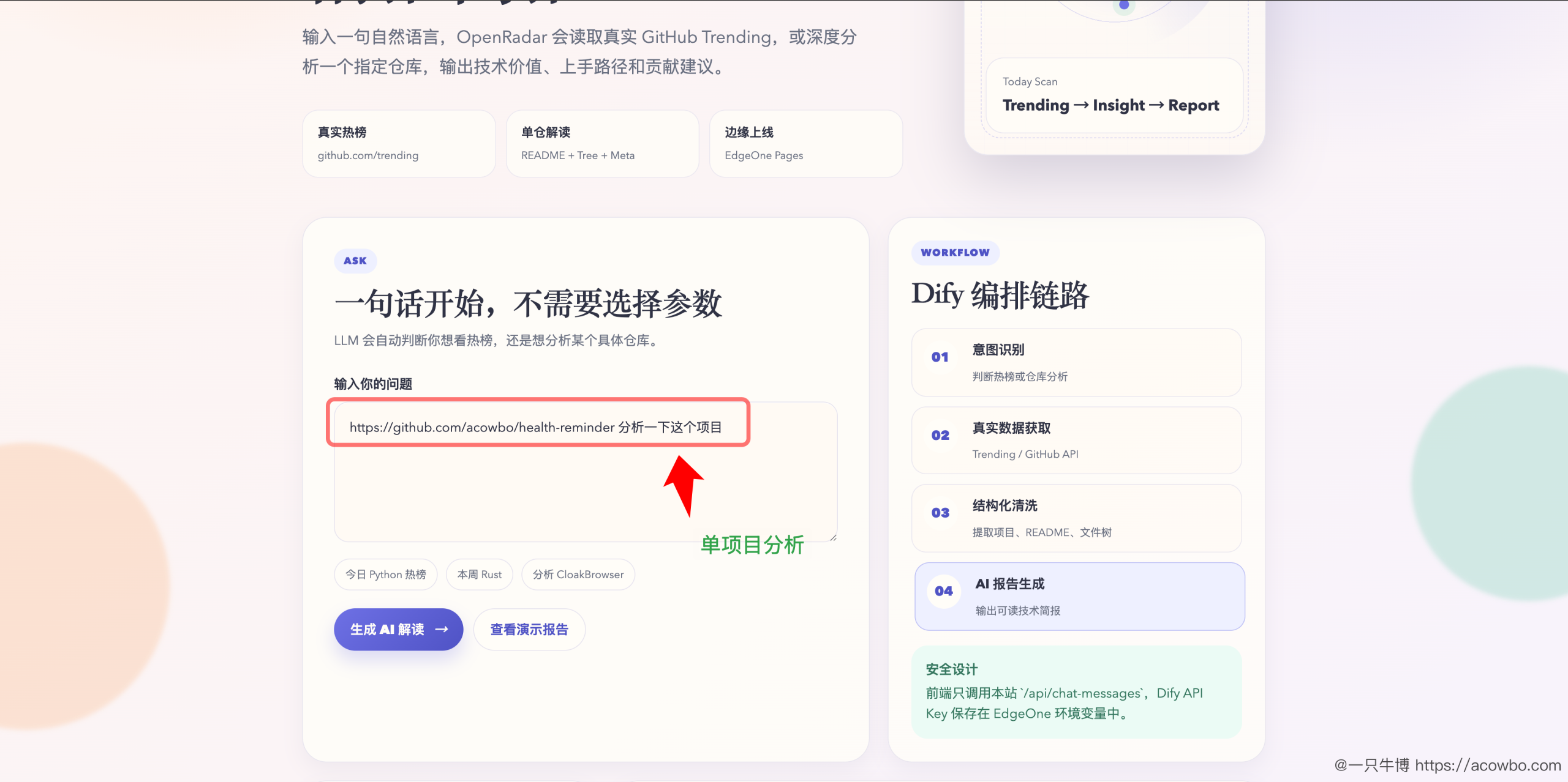 单项目分析报告