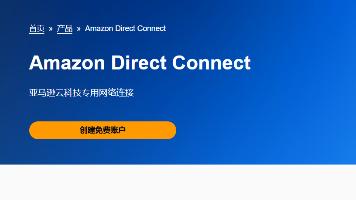 AI 加持：Amazon VPC Direct Connect 路由监控系统构建实践
