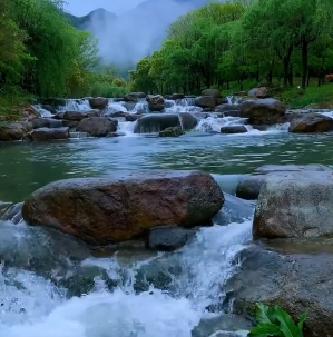 水的疗愈力:以古法之水,润现代之焦