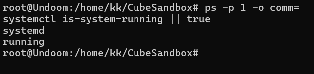 systemd 和 KVM 检查