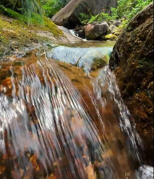 水的疗愈力:以古法之水,润现代之焦