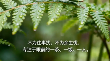 HarmonyOS 6（API 23）实战：“智财管家“——AI金融智能体理财系统