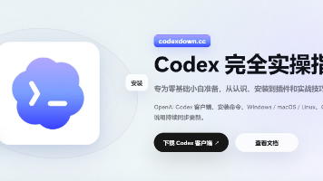 OpenAI Codex AI 降智怎么办？Codex 降智原因分析与解决方法（附完整教程）